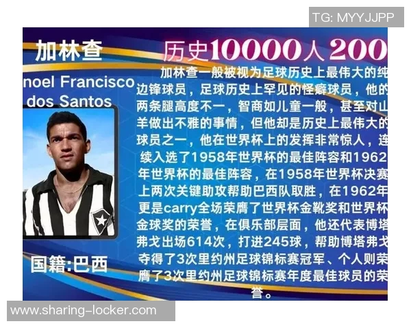 超越标签的足球巨星探索不被定义的运动传奇之路