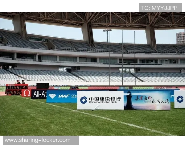 成都排球队在钻石联赛中的崛起与突破之路全景回顾